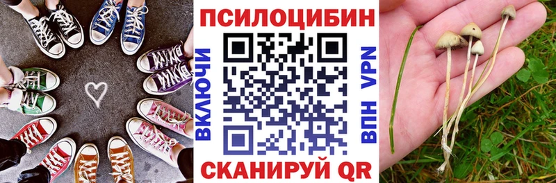 Псилоцибиновые грибы Magic Shrooms где купить наркоту Чегем